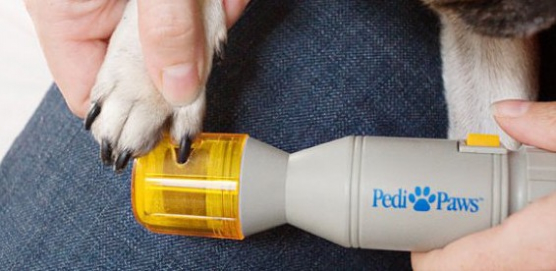 Прибор для стрижки ногтей животных